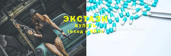 гидра Няндома