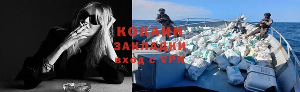 шишки Новозыбков