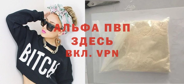 гидра Няндома