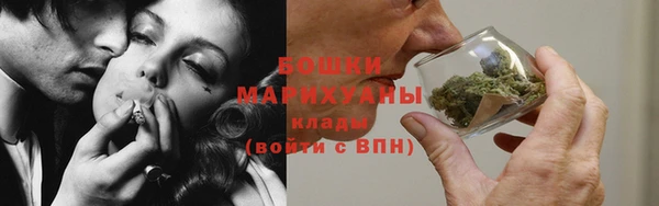 шишки Новозыбков