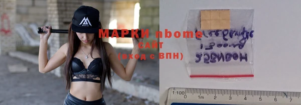 шишки Новозыбков