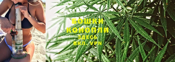 гидра Няндома