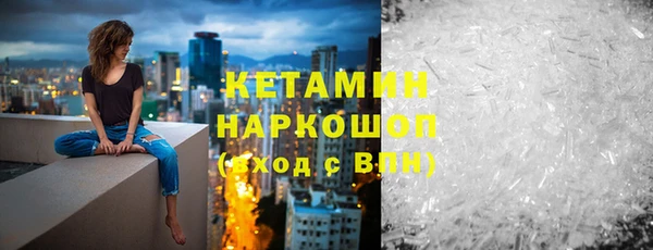 шишки Новозыбков