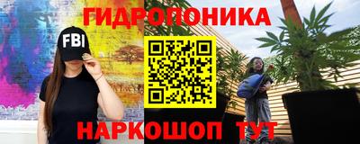 кокс Берёзовский