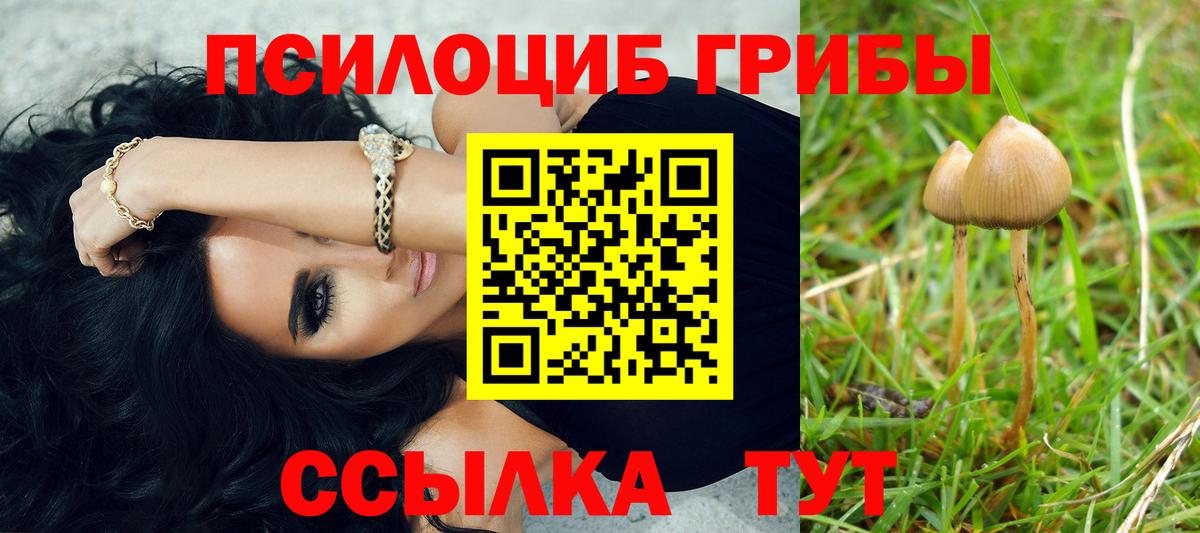 Верхняя Салда  Псилоцибиновые грибы Cubensis  Псилоцибиновые грибы MAGIC MUSHROOMS  Вход с VPN 