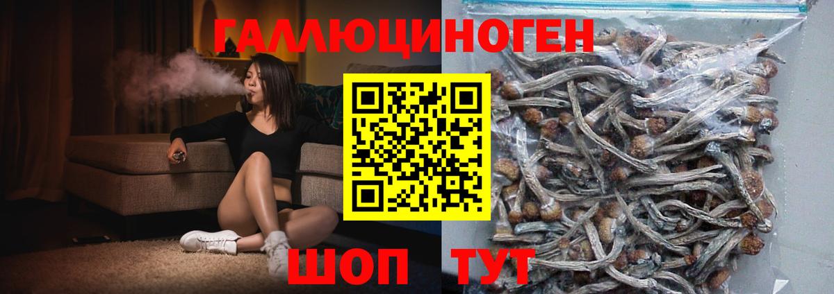 Галлюциногенные грибы GOLDEN TEACHER Верхняя Салда
